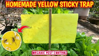 How To Make Yellow Sticky Traps At Home For Insects IN HINDI Best Organic Pest Control For Garden [upl. by Esmerolda728]