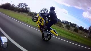 Suzuki GSXR 1000 and Honda CBR 929RR TMR Big Bend Florida Wheelies [upl. by Williamsen791]