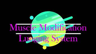 Muscle Modification Lunging amp Combination Cavesson [upl. by Doraj854]