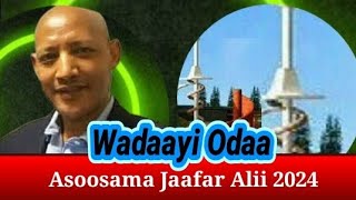 Wadaayi Odaa Asoosama Jaafar Alii 2024 [upl. by Ochs]