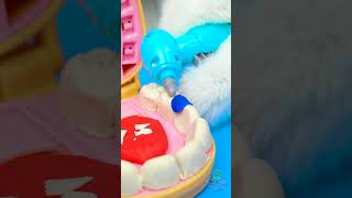 Meowy 😻 Mr Play Doh Head 👨🏻 Toothache Stories with a Dentist Cat  ASMR [upl. by Snah851]