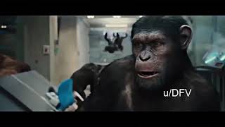 APES TOGETHER STRONG  GAME STOP WSB MEME [upl. by Haag]