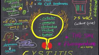 Cystitis Review in 4 minutes All you need to know [upl. by Assillem970]