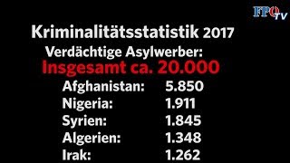 Kriminalitätsstatistik 2017 Asylwerberkriminalität erschreckend hoch [upl. by Leinahtam271]