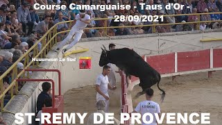 ST REMY DE PROVENCECourse CamarguaiseTaus dOr28092021 [upl. by Nangatrad]