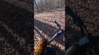 Making some new trails with Pouncey adventurecat bengal cat [upl. by Luben]