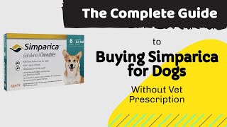 How to buy Simparica for Dogs Without Vet Prescription The Complete Answer for this Big Question [upl. by English]