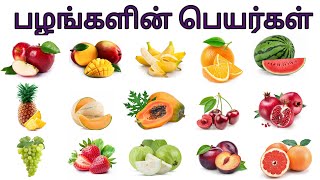 fruits name in tamil  பழங்களின் பெயர்கள்  fruits name fruits [upl. by Ellehcir]