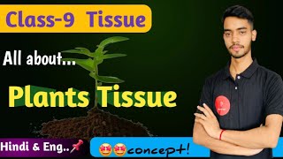 Tissue Class 9 Plant Tissue  science class 9 chapter 6 CBSE NCERT topicsetoptak [upl. by Johen]