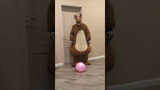 A big fat dog brings a pink balloon to friend [upl. by Sonni]