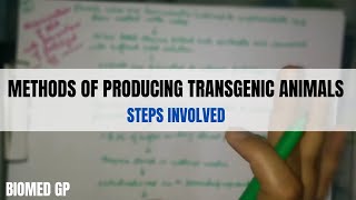 Methods of producing transgenic animals [upl. by Ailegna]