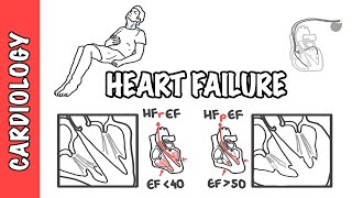 Heart Failure 5 Pathophysiology [upl. by Rhea]