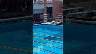 401c off 1 meter springboard Inward dive tuck diving [upl. by Osithe]