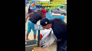 Descubre la calidad premium de nuestra albacora 🐟 Ideal para el mejor encebollado ecuatoriano 🇪🇨 [upl. by Laddie574]