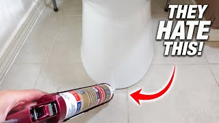 Why You NEED To Caulk The Base Of Your Toilet PROS HATE This DIY [upl. by Lytle]