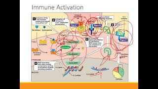 Immunosuppressants [upl. by Sharl]