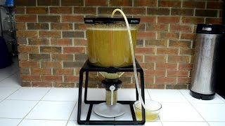 The Catalyst Fermentation System A HandsOn Review [upl. by Aronle]