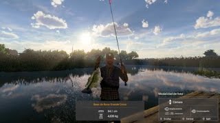 Unique largemouth bass everglades fishing planet [upl. by Cicely]