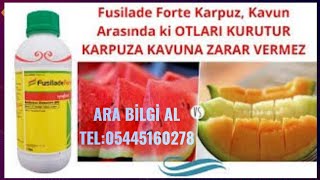 KARPUZ KAVUN KABAK İÇİN HANGİ OT İLACI KULLANILIR KARPUZA ZARAR VERMEDEN FUSİLADE FORTE [upl. by Handel]