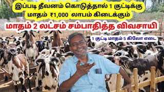 கிடா குட்டி வளர்ப்பில் லட்சத்தில் வருமானம் பார்க்கும் விவசாயி  300 பக்ரீத் கிடா குட்டி வளர்ப்பு [upl. by Atiuqes]