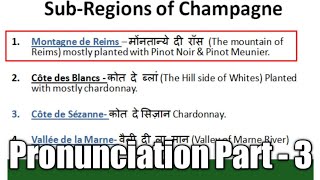 French Wine Region  Champagne  Part3 [upl. by Assirec]