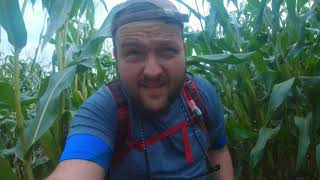 Hiking the Offas Dyke Path LlanfihangelYesternLlewern to Pandy [upl. by Yrahcaz969]