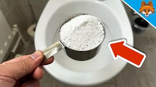 Kippe WASCHPULVER in die TOILETTE und du wirst mir EWIG DANKBAR SEIN💥Genialer TRICK🤯 [upl. by Anade]