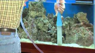 How to Change Aquarium Water DrsFosterSmith [upl. by Pillihp]