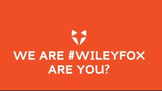 We are Wileyfox Are you [upl. by Olly]