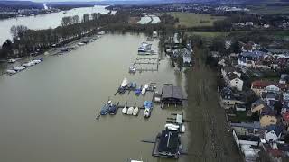 Hochwasser in Wiesbaden  Luftaufnahmen vom Schiersteiner Hafen und Biebricher Rheinufer [upl. by Sirkin]