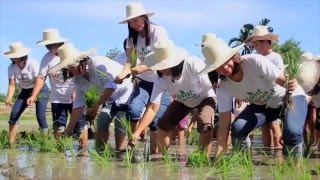 UNESCO Learning City Award 2017 [upl. by Barnaba206]