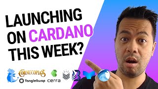 More Cardano Protocols Launching This Week Cardano ADA News Update [upl. by Nunci]