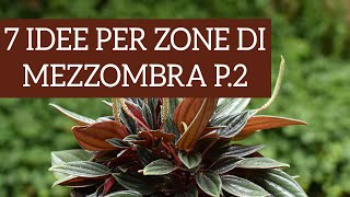 7 piante dappartamento perfette per zone di mezzombra Parte 2 [upl. by Fachini]