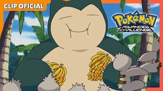 ¡Snorlax se ha comido todo  Pokémon Advanced Challenge  Clip oficial [upl. by Aicram725]