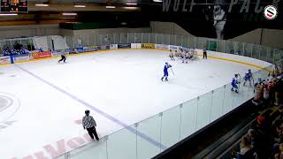 Pee Wee AA State Quarterfinal Highlights Minnetonka 7 Hermantown 0 [upl. by Yesdnyl489]