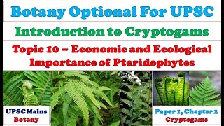 Pteridophytes Economic and Ecological Applications Importance of Pteridophytes Botany Lectures [upl. by Kentiggerma]