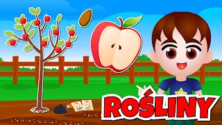 🌱 Wiosna w ogrodzie Od nasiona do rośliny  Film edukacyjny dla dzieci [upl. by Deanne621]