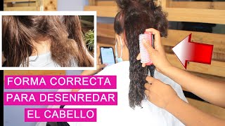 Forma Correcta Para Desenredar El Cabello en 5 minutos  Quieroesosrizos [upl. by Robin]