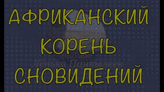 Африканский корень сновиденийSilene CapensisЛичный опыт и мнениеВ нём нет запрещённых веществ [upl. by Elletse]