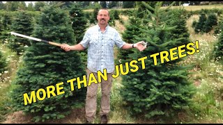 Starting a small acreage Christmas tree farm Things to consider before planting [upl. by Asin]