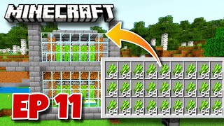 I Made An Unlimited Automatic Sugarcane Farm In Minecraft Survival Mode PE Gameplay Hindi 🔥 [upl. by Cornelius]