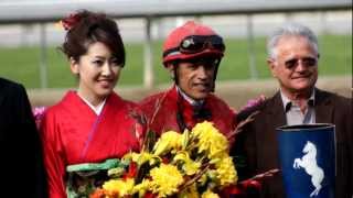 Santa Anita Park  SantaAnitacom  Tokyo City Cup Horse Race  Live RaceTrack Thoroughbred Racing [upl. by Harvie]