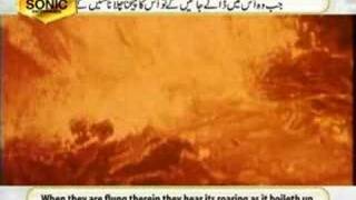 Surah Mulk Recitated by Qari Syed Sadaqat Ali A Must See [upl. by Samanthia]