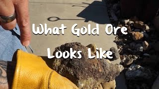 What Gold Ore Looks Like  Mining 101  Gold Rush Expeditions [upl. by Tutt]