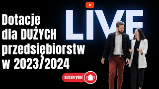 Dotacje dla dużych przedsiębiorstw w 2024 Zobacz 4 najważniejsze dofinansowania dla dużych firm [upl. by Aeslek]