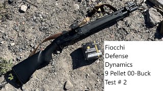 Fiocchi Defense Dynamics 9 Pellet Buck Patterning  Test 2 Beretta A300 Ultima Patrol [upl. by Ailedua]