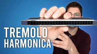 How to Play Leonard Cohens hallelujah on a Tremolo harmonica with 20 Holes [upl. by Meenen]