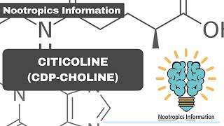 Citicoline amp CDPcholine  Nootropics Information [upl. by Acissehc]