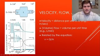 Hemodynamics [upl. by Noerb]