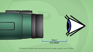 Understanding Binoculars Eye Relief [upl. by Yrekcaz]